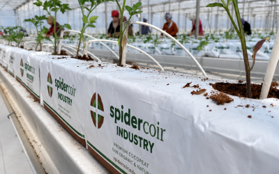 Choosing the Right Cocopeat for Greenhouse and Hydroponic Farming